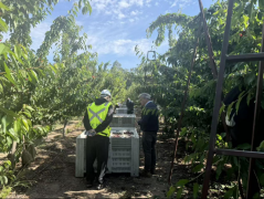 闭从动化输送链正将原料送入34万吨容量的立筒仓